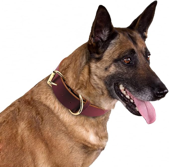 Dog Puppy Collar Genuine Leather Pet Collars for Small Medium Large Dogs Real Leather German Shepherd Big Dog Collar XS-XXL Red M