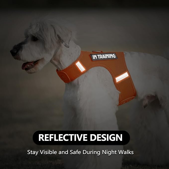 Dog Harness for Puppy – Adjustable Reflective Easy Put On Soft Mesh Vest for Small Dogs with 2 Patches (Orange,S)