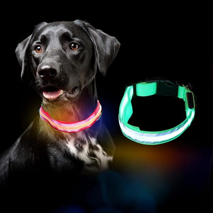 MANON ROSA LED Dog Collar USB Rechargeable Light Up Dog Collar Adjustable Nylon Soft Mesh Safety Glowing Collar for Small Medium Large Pet Dogs Cats-Nighttime Accessories (Green,Small)