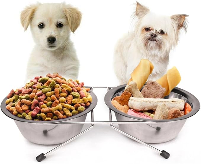 Pet Automatic Feeder + Waterer for Cat Stainless Steel Bowl Anti-Leak Water Fountain 2 in 1 Pet Tableware Dog Water Feed