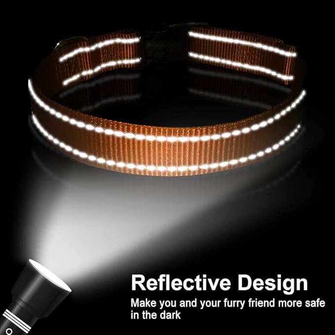 FunTags Reflective Dog Collar, Sturdy Nylon Collars for Puppy and Extra Small Girl and Boy Dogs, Adjustable Dog Collar with Quick Release Buckle,Orange,3/8" Width