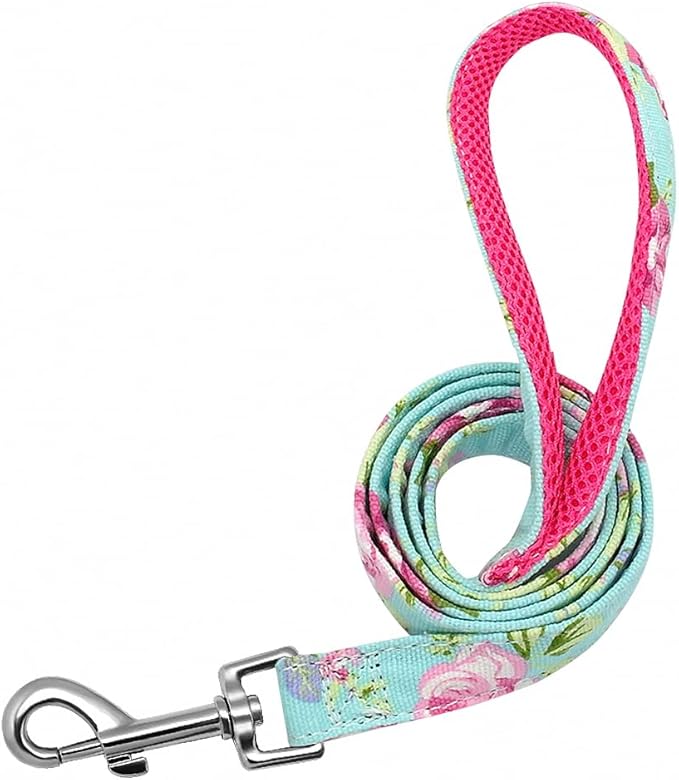 Personalized Dog Collar Leash Nylon Print Small Dog Collars and Lead for Small Medium Large Pet Pitbull German Shepherd Puppy Baby Blue Flower L S