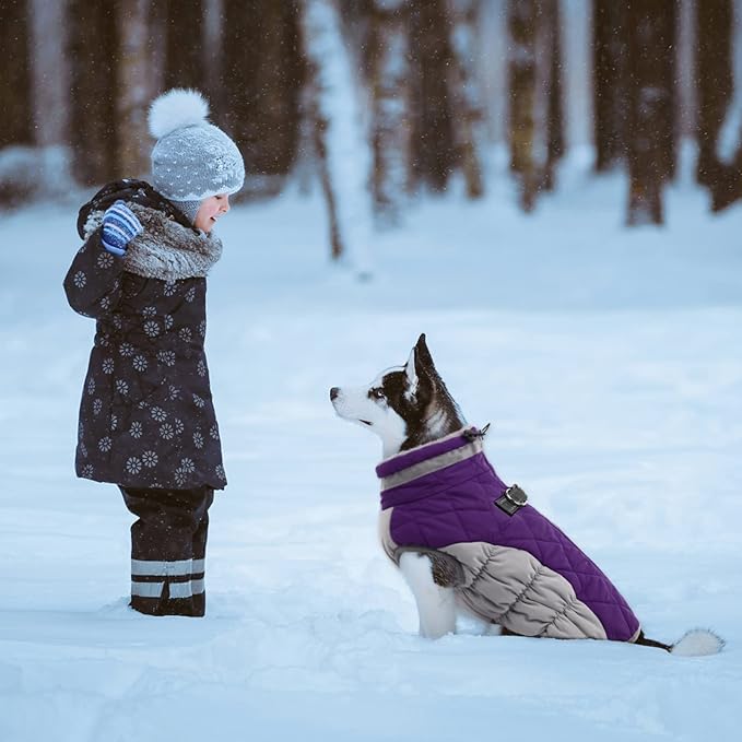 Lelepet Dog Coat Warm Dog Winter Coat Waterproof Dogs Jacket with Harness Built in Reflective Pet Fleece Vest Zip-Up Cold Weather Coats for Medium Dogs Turtleneck & Windproof Coats Dachshund Purple M