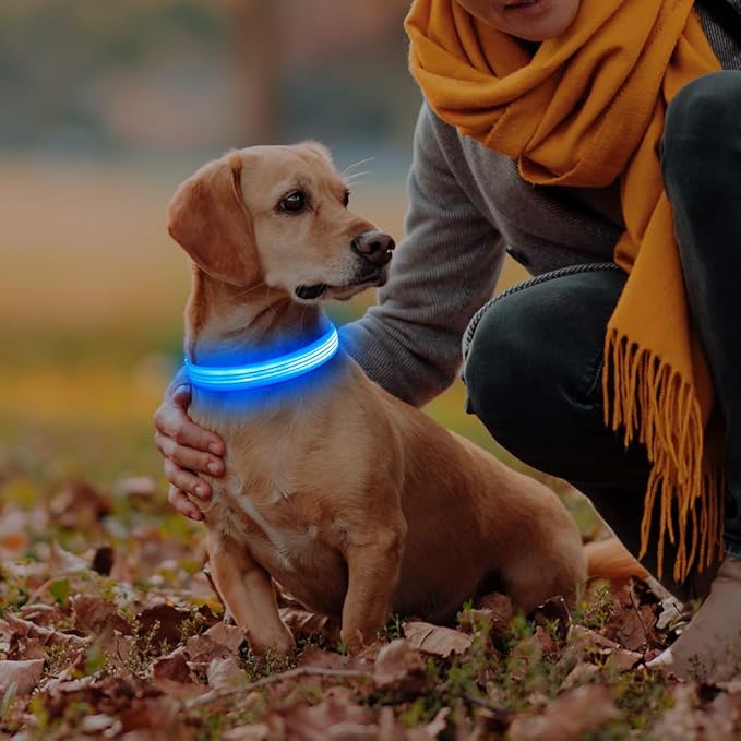 LED Dog Collar, Rechargeable Light Up Dog Collars Glow in The Dark, Adjustable Waterproof Collar Light for Medium Dogs (Blue, M)