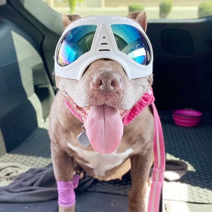 Namsan Dog Goggles for Large Dogs, Wide Snout & Soft Frame, Tactical Driving Sunglasses for Dogs Medium to Large Breed, Anti-UV Dog Eye Protection, Windproof Dustproof, Adjustable, White