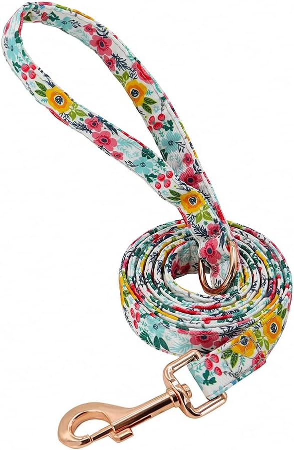 Rhinestone Personalized Dog Collar Leash Set Flower Printed Customized Pet Collar Puppy ID Collar for Small Medium Large Dogs Blue Leash 150cm M
