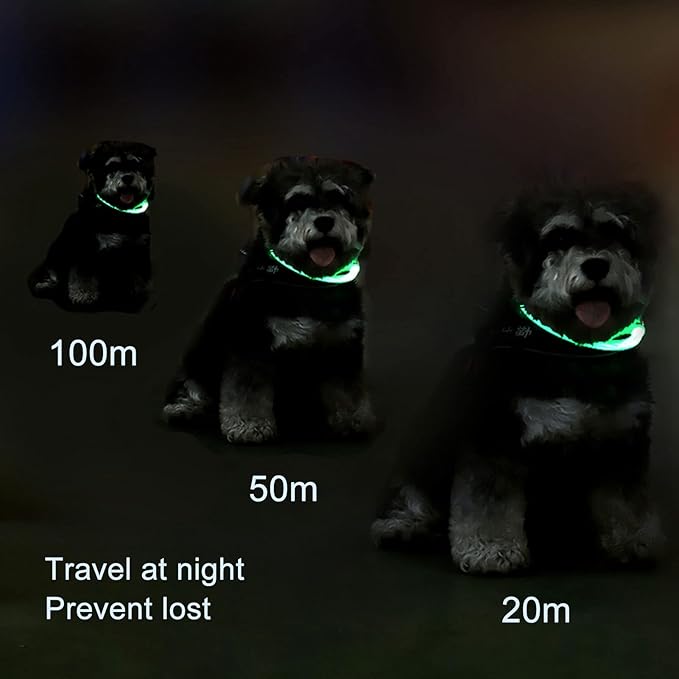 VINGVO Light Up Dog Collar, in The Dark Dog Collar Rechargeable Rechargeable Flash Dog Necklace Light Dog Collar Light LED Dog Collar Lighted Dog Collar for Large Medium Small Dogs