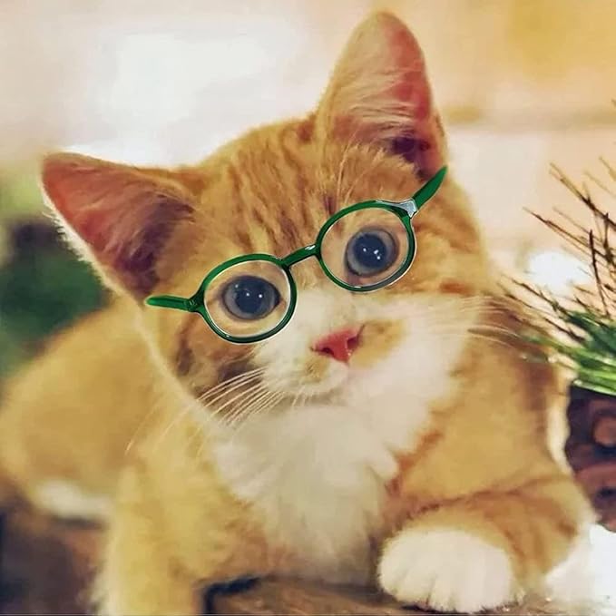 Black Pet Dog Cute Glasses Clear Lens Retro Glasses Photo Props Transparent Cat Sun Glasses for Small Dogs Cats Cosplay Costume Dog Sunglasses