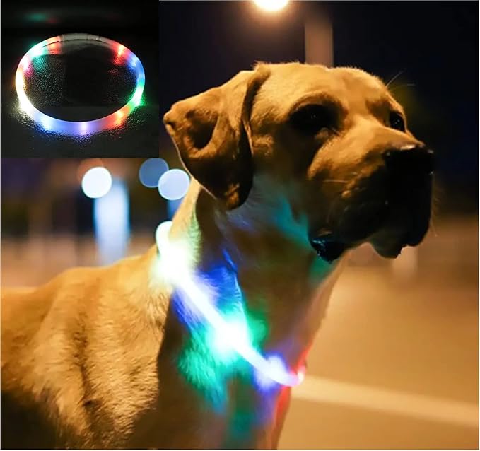 LED Dog and Cat Collar, USB Rechargeable Glowing Pet Collar, Cuttable Dog Necklace Safety Light for Dogs and Cats - Available in 7 Colors (Rainbow)