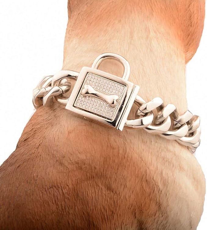 Lakke 19mm Golden Lock Stainless Steel Pet Dog Collar Apparels Metal Durable Puppy Dog Cat Gold Silver Collar Training Necklaces 10A