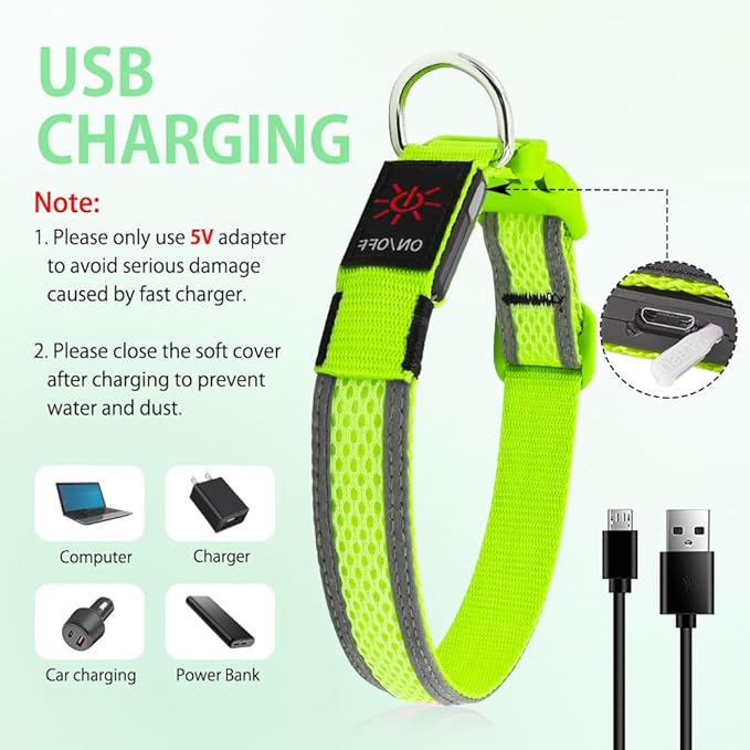 Illumifun Light Up Dog Collar - USB Rechargeable LED Dog Collar Glow in The Dark - High Visibility Glow Collar for Night Walking (Small, Fluorescent Green)