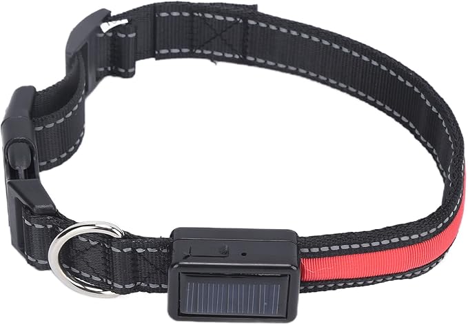 Light Up Dog Collar, Glow in The Dark Dog Collar Adjustable Lighted Safety USB Rechargeable LED for Small for Nighttime Walking Camping (L)