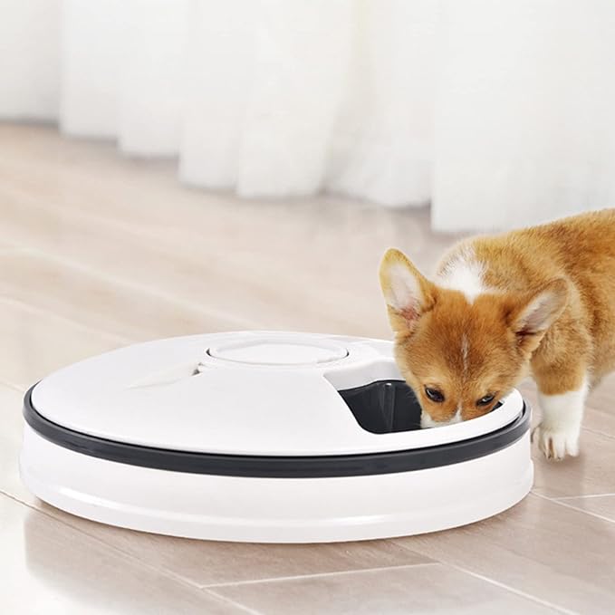 Automatic Pets Feeder Bowl 6 Grids Pet Feed Tool 24h Timer Portion Control Electric Pet Dry Food Dispenser Storing
