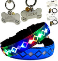 LED Dog Collar with ID Tag, 15 Light Modes, Waterproof Silicone, Night Safety (BLUE Pro, XL(19.7-23.6"))
