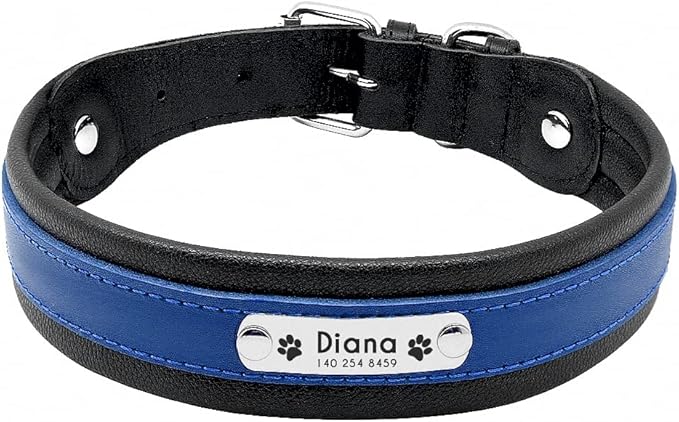 Large Dog Collar Genuine Leather Dog Collar Personalized Pet Name ID Collar Padded Customized for Medium Large Dogs Blue L