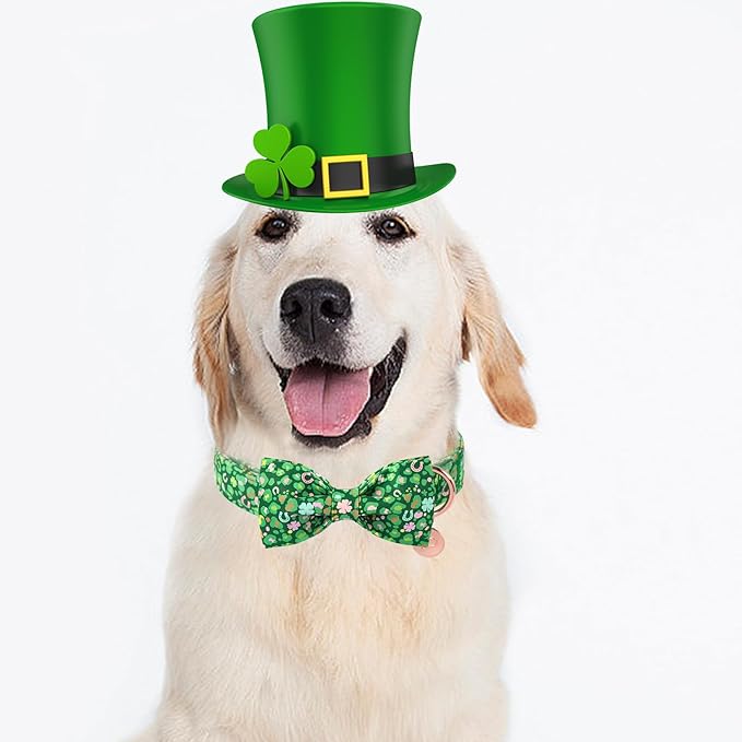 St. Patrick's Day Dog Collar with Bow Tie, Spring Shamrock Bowtie Collar for Girl Boy Dog, Lucky Clover Dogs Collars with Metal Buckle, Green Collars for Dogs, M, Neck 13.5-22in