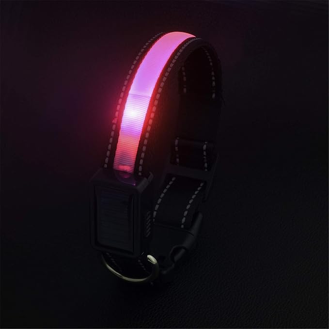 Avaner Reflective Dog Collar, Solar/USB Charging LED Light-up Pet Collar, Adjustable Nylon Collar for Dog