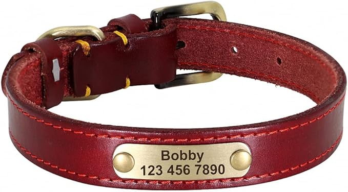 Personalized Leather Dog Collar Custom Dog Collars Leather Gold Buckle Pet ID Collar for Small Medium Large Dogs Dobermann Red XS