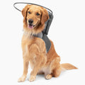 Muffin’s Halo® – The Original Blind Dog Halo | Harness & Bumper Collar Accessory for Safe Navigation & Confidence – Gray, Size 7