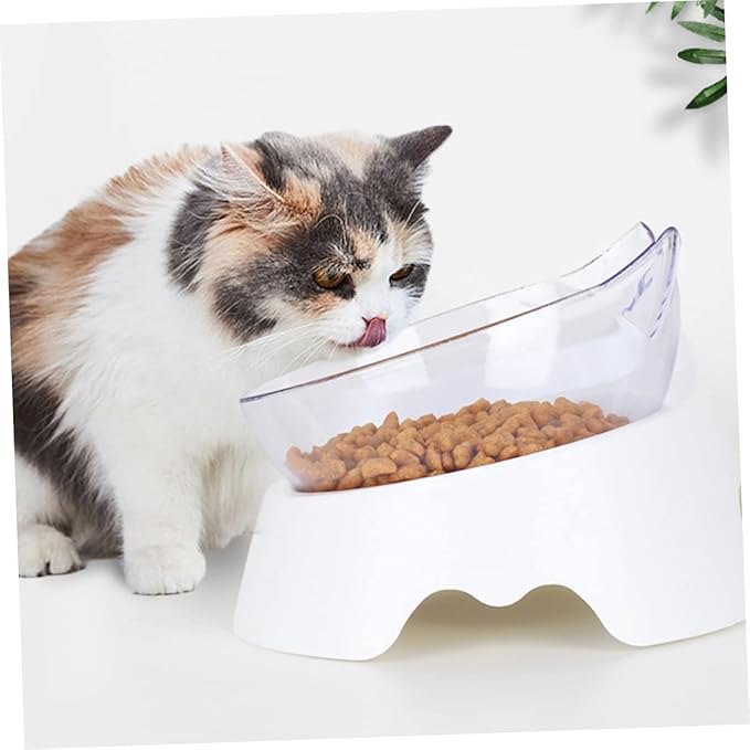 Dual-Bowl PET Feeder Set Automatic Water Dispenser 15° Tilted Cat and Dog Food Bowls for Small to Medium Pets