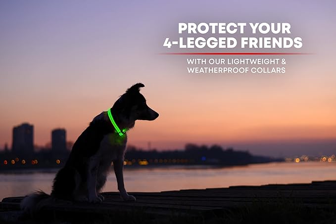 ILLUMISEEN LED Dog Collar USB Rechargeable - Bright & High Visibility Lighted Glow Collar for Pet Night Walking - Weatherproof, in 6 Colors & 6 Sizes (Green XX-Small)