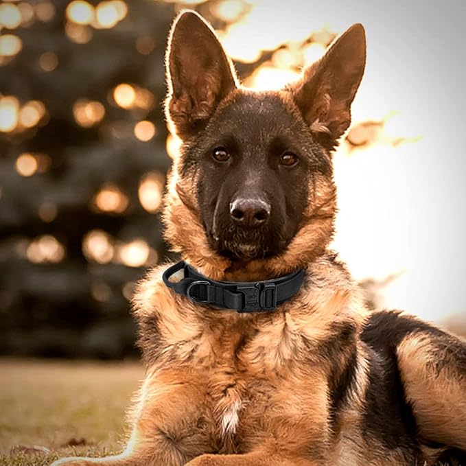 Military Tactical Dog Collar German Shepard Medium Large Dog Collars for Walking Training Duarable Dog Collar Control Handle Black L
