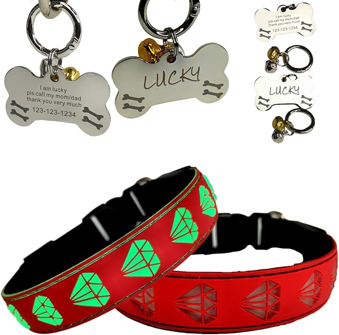 LED Dog Collar with Diamond Pattern, 15 Light Modes, with Bonus Pet ID Tag and Bell (RED, L(15.7-19.7"))