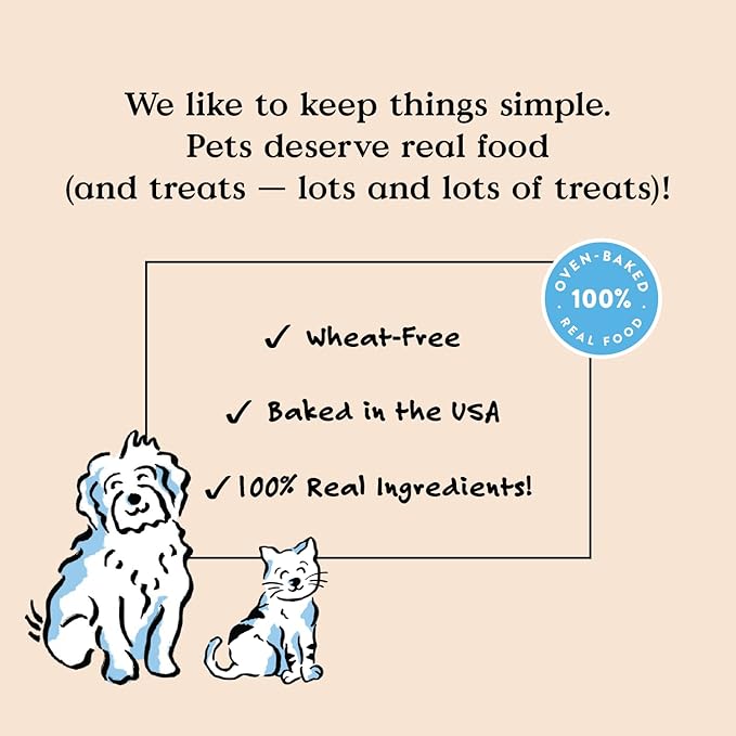 Bocce's Bakery Oven Baked Salmon Recipe Treats for Dogs, Wheat-Free Everyday Dog Treats, Made with Real Ingredients, Baked in The USA, All-Natural Soft & Chewy Cookies, Salmon, 6 oz