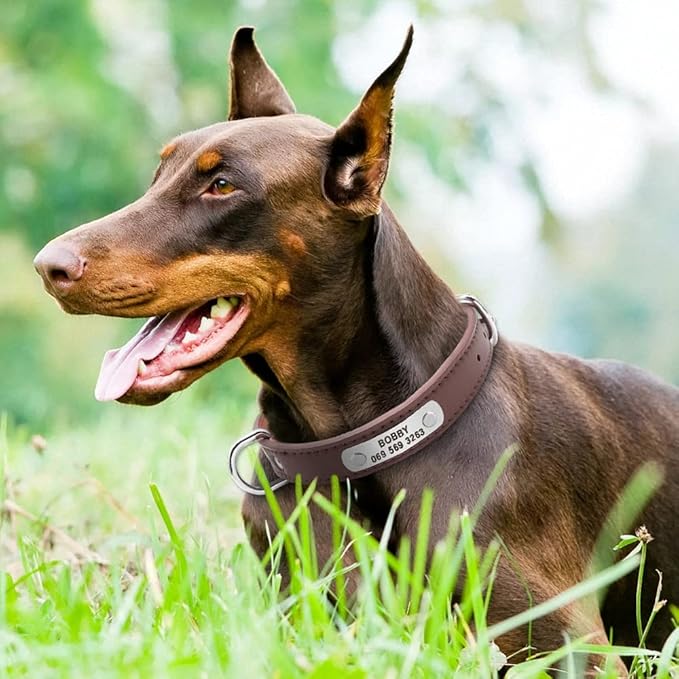 Large Durable Personalized Dog Collar PU Leather Padded Pet ID Collars Customized for Small Medium Large Dogs Cat 4 Size Brown L