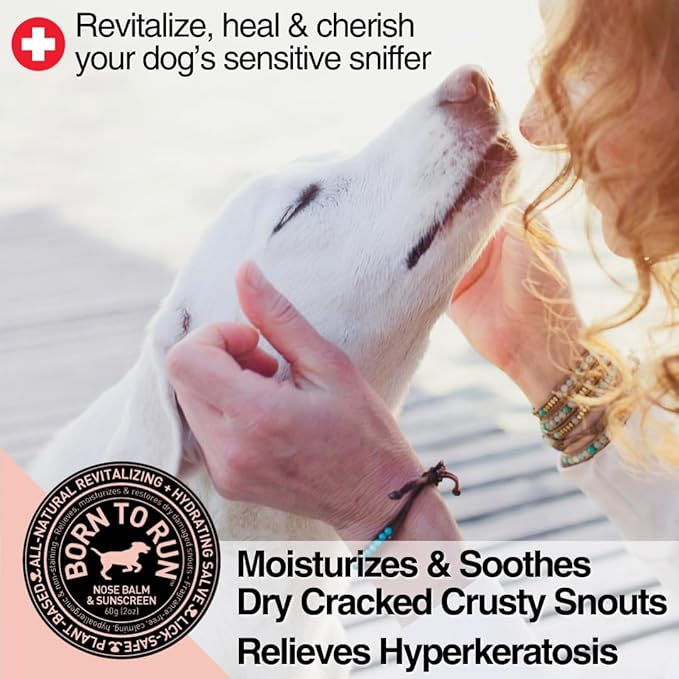 Born To Run Dog Nose Balm | Natural Snout Soother & Cold Wind Sun Protection | Moisturizes & Heals Dry Cracked Chapped Noses | Fragrance-Free Hyperkeratosis Relief Plant-Based Lick Safe Nose Cream 2oz
