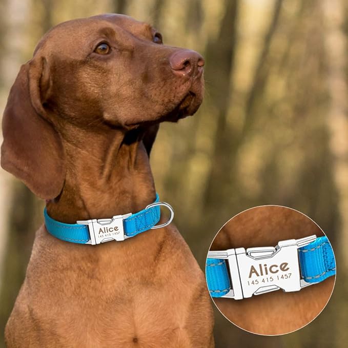Personalized Dog Collar Durable Nylon Reflective Collar Custom Pet Dogs Collars for Small Medium Large Dogs Blue L