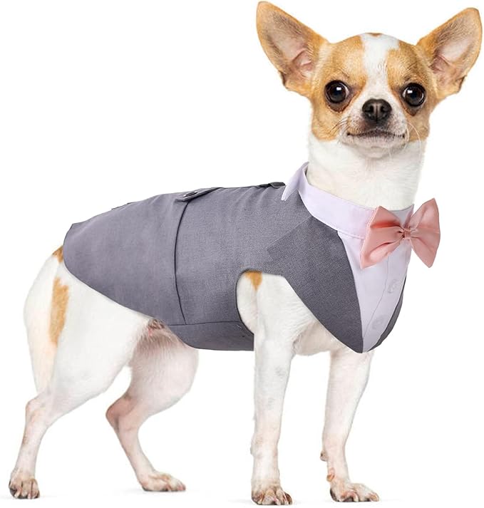 PUMYPOREITY Small Dog Bowtie Tuxedo Suit, Cat Tuxedo & Bandana Set for Chihuahua, Boston Terrier, Bichon, Corgi, Pomeranian, 2 Pieces/Pack, S, Grey