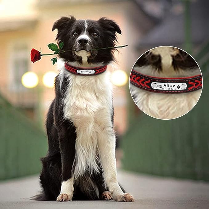 Personalized Dog Collar Customized Dog Collars Padded Pet Collar Name ID Collars for Small Medium Large Dogs Cats Red M