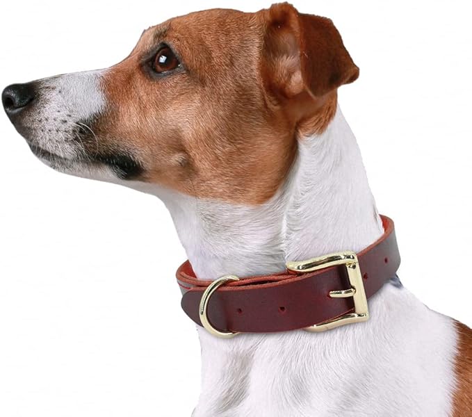Dog Puppy Collar Genuine Leather Pet Collars for Small Medium Large Dogs Real Leather German Shepherd Big Dog Collar XS-XXL Red M