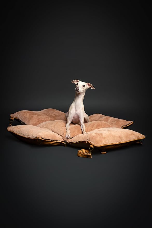 Noah & Paw Dog Car Seat Carrier, Small Dog Car Seat for Small Medium Pets with Harness Clip, 4X Safety Feature, Booster Travel Bed, Washable, Orthopedic Foam Wrapped with Plush, Vegan Leather