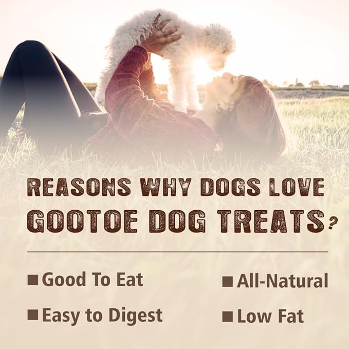 Gootoe Turkey Tendons for Dogs – All-Natural, Hypoallergenic Dog Treats, Rawhide Alternative, Long Lasting Puppy Chews, Healthy Dog Treats for Small Breeds, Pretzel (S), 6 Count Pack