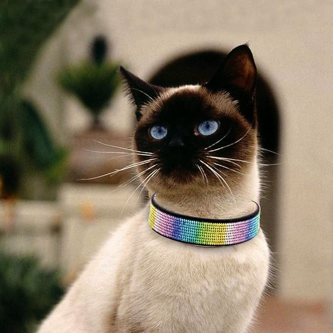 Rhinestone Dog Collar, Cute Dazzling Sparkling Soft Suede Leather Dog Cat Rhinestone Collar Crystal Diamond Pet Dog Puppy Collar (XXS, Black-3)