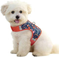 Dog Harness for Small Sized Dog,Hook-and-Loop Easy On/Off, Reflective Adjustable Soft Mesh Vest for Puppy (Navy Floral Print,S)