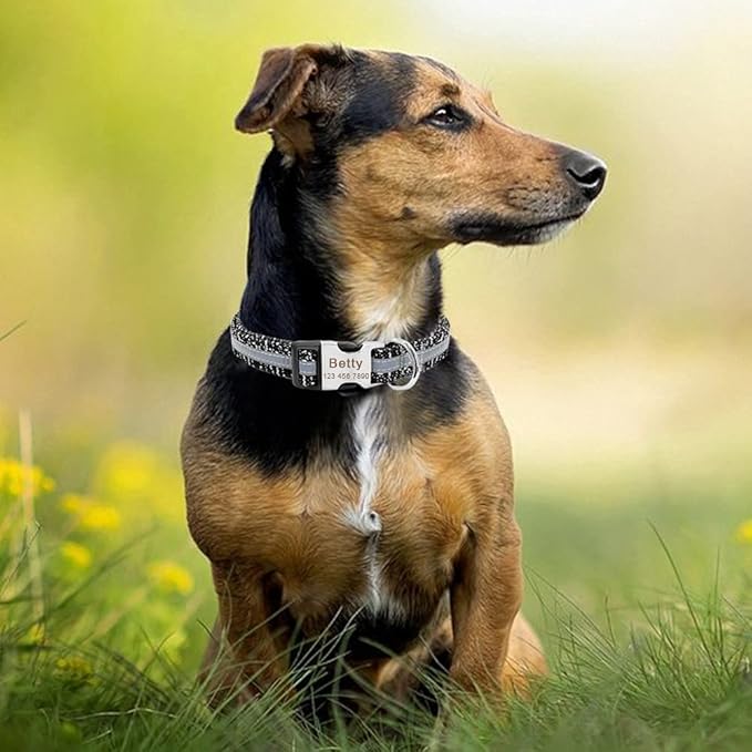 Personalized Pet Dog Collar Reflective Custom Puppy Collars Pitbull Large Dog Collar for Small Pets Chihuahua German Shepherd Black M