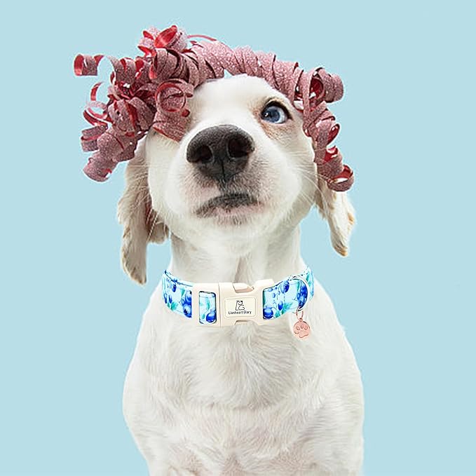 Lionheart glory Dog Collar Blueberries Print Collar for X-Small Dogs Spring Summer Female or Male Collars Pet Gift Adjustable Heavy-Duty Cute Puppy Collars