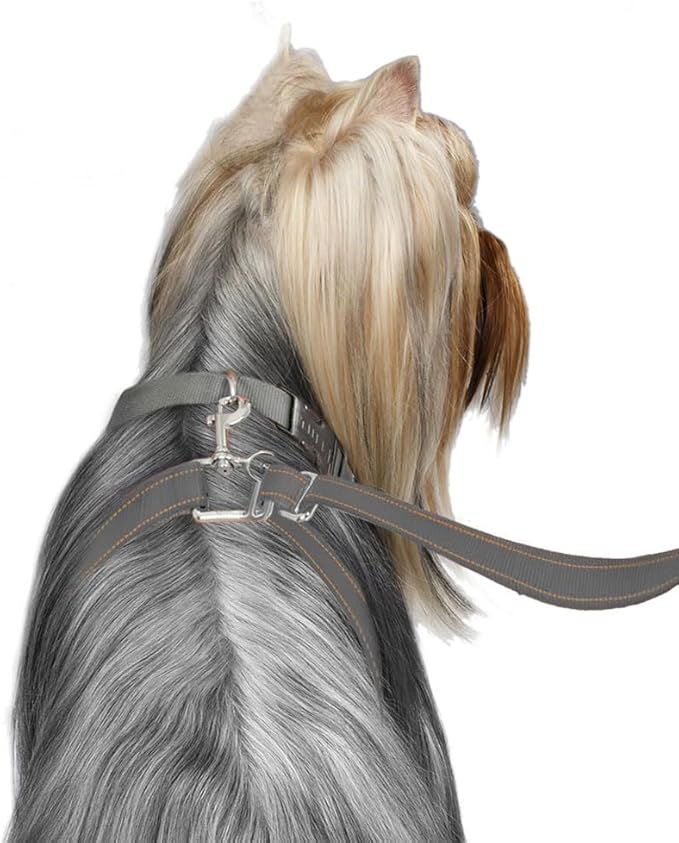 ThunderLeash No-Pull Dog Leash (Large (Over 25 lbs), Grey)