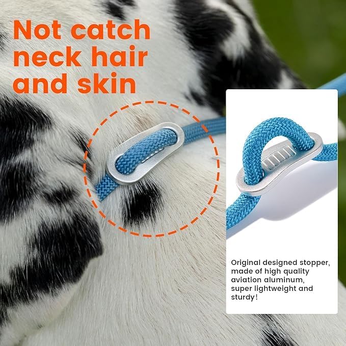 Howgo Double Slip Leash Slip Lead | Dual Dog Lead for 2 Dogs,360° Swivel No Tangle | Dog Training Nylon Leash and Collar | Double Clip Coupler and Splitter | Lightweight Aluminum (Black, 3FT)