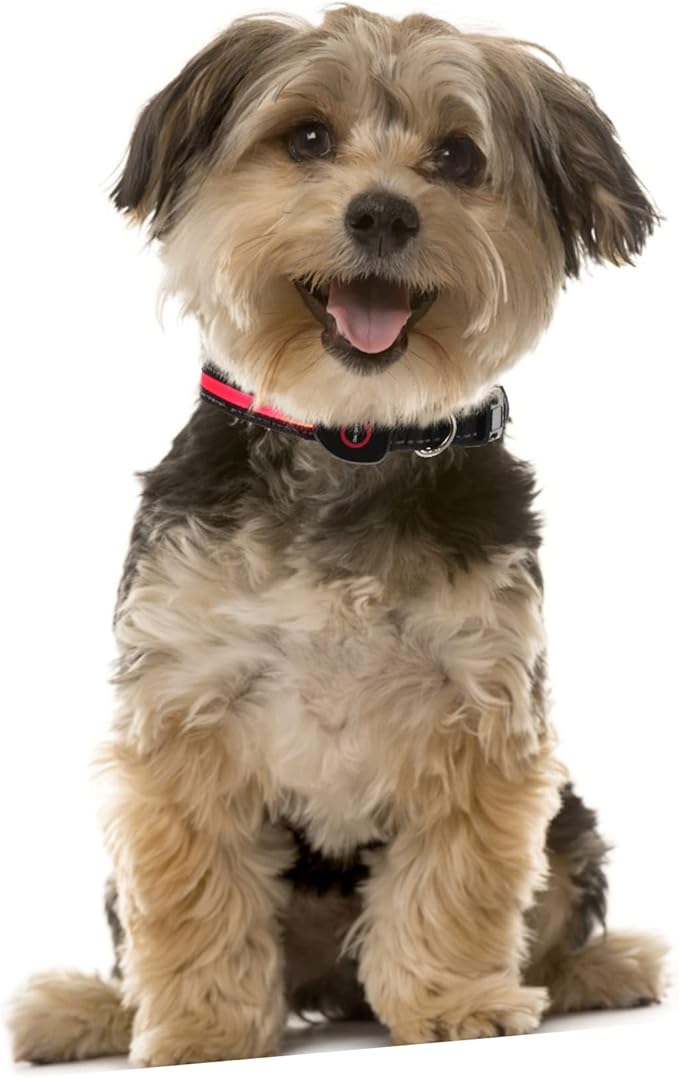 GANAZONO USB Rechargeable Led Pet Collar Glowing Dog Collar for Night Safety for Dogs up to Durable Skin-Friendly Materials Flashing Light for Enhanced Visibility