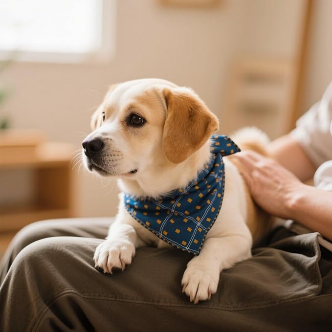 Double Layers Two Tones Dog Cotton Square Bandana Bibs Scarf Kerchief for Small Medium Dogs Boy or Girl - DCB01 B&Y