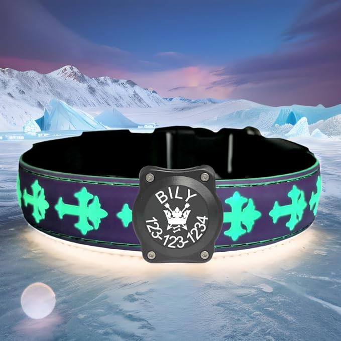 Personalized USB-C led Light up Dog Collar with Airtag Holder, IP68 Waterproof,15 Modes Changing Multicolored Lighting (Purple, L(15.7-19.7"))