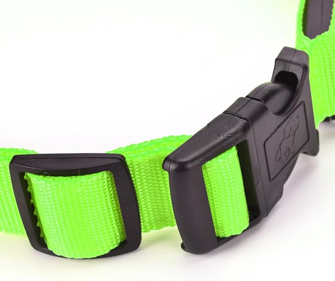 Green Light-Up LED Adjustable Pet Collar (Flashing or Steady Modes) - Rechargeable via USB Cable (Included) by Electronix Express (Large)
