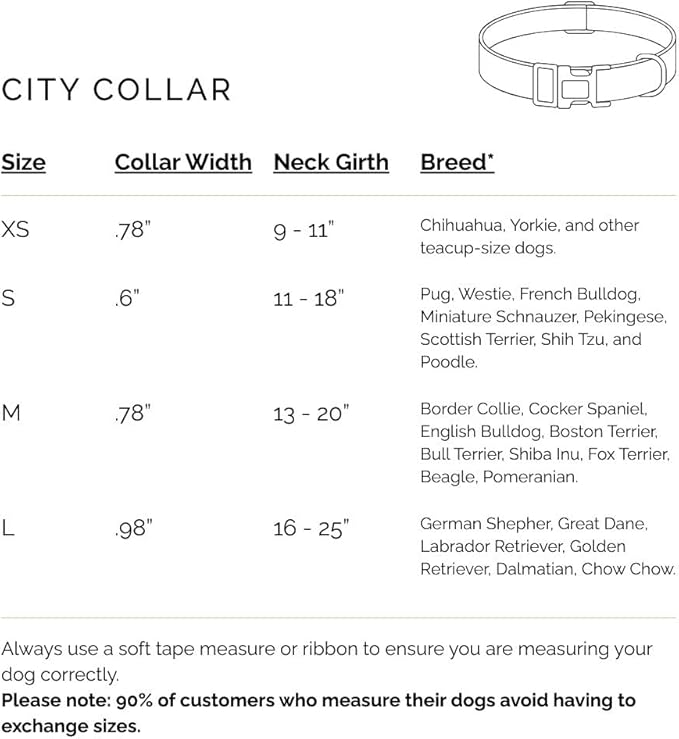 The DOGISTRY - City Collar - Steel - Premium Dog Collar with Padded Neoprene & Signature Fabric - Refined Design & Everyday Luxury - Medium