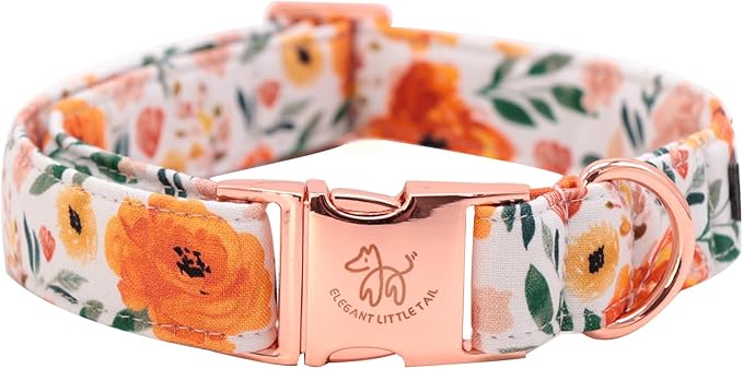 Elegant Little Tail Fall Dog Collar - Durable Orange Floral Dog Collar for Medium Dogs, Adjustable for Male or Female Pets - Perfect