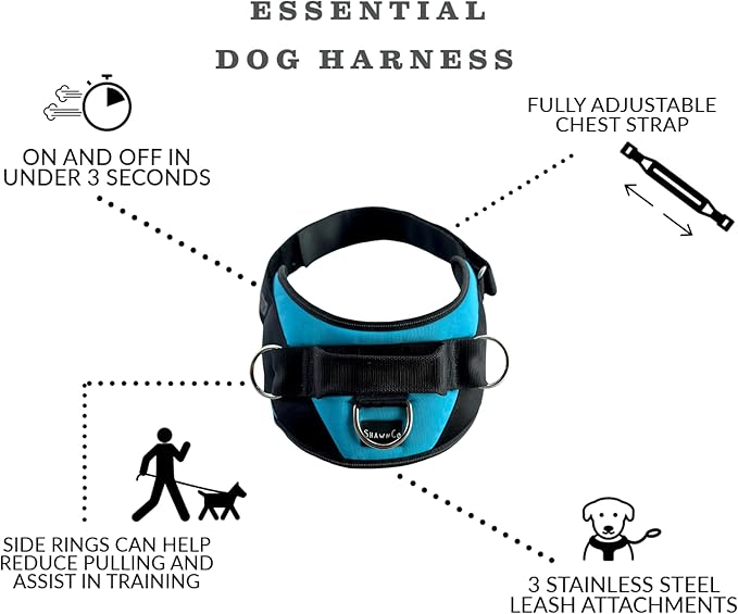 ShawnCo Essential Dog Harness, No-Pull Pet Vest with 3 Leash Clips, No Choke, Reflective, Adjustable and Padded, for Easy Walking and Training for Small, Medium and Large Dogs (Electric Blue,S)