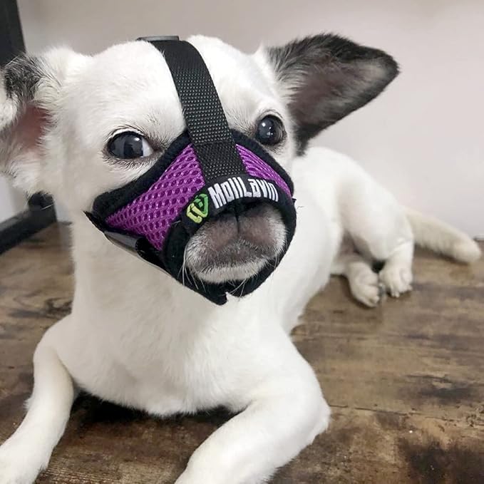 Dog Muzzle, Breathable Mesh Muzzles for Small Dogs 5-15bls, Chihuahua Muzzle for Biting Barking, Adjustable Puppy Muzzle XS Extra Small Muzzle (Comfy-Purple)